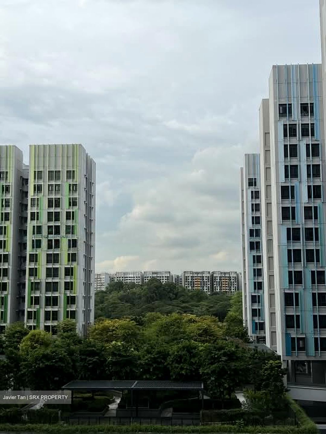Blk 113A Alkaff Oasis (Toa Payoh), HDB 4 Rooms #614104741